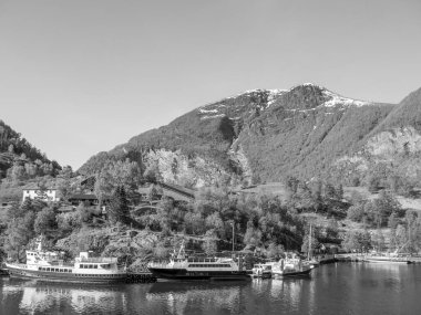 Norveç 'te fiyort gezisi