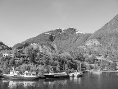 Norveç 'te fiyort gezisi