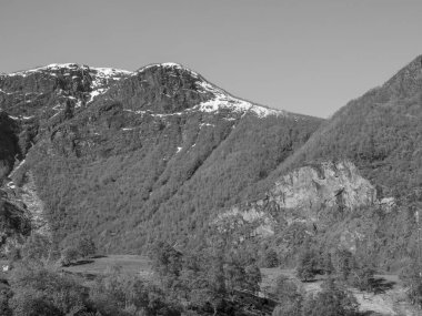 Norveç 'te fiyort gezisi