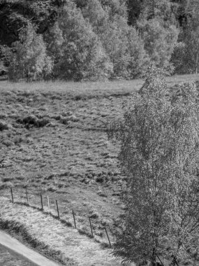 Flam ve Norveç 'teki Aurlandsfjord