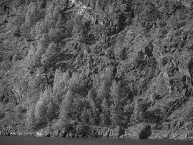 Flam ve Norveç 'teki Aurlandsfjord