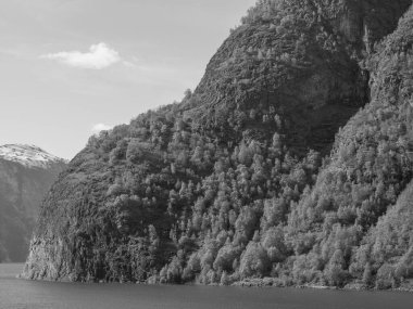 Flam ve Norveç 'teki Aurlandsfjord