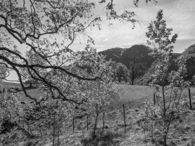 Flam ve Norveç 'teki Aurlandsfjord
