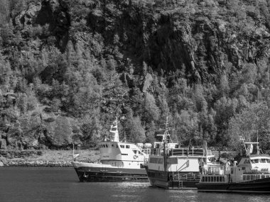 Flam ve Norveç 'teki Aurlandsfjord