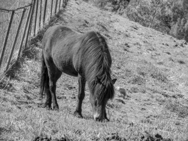 Flam ve Norveç 'teki Aurlandsfjord