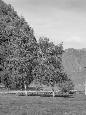 Flam ve Norveç 'teki Aurlandsfjord