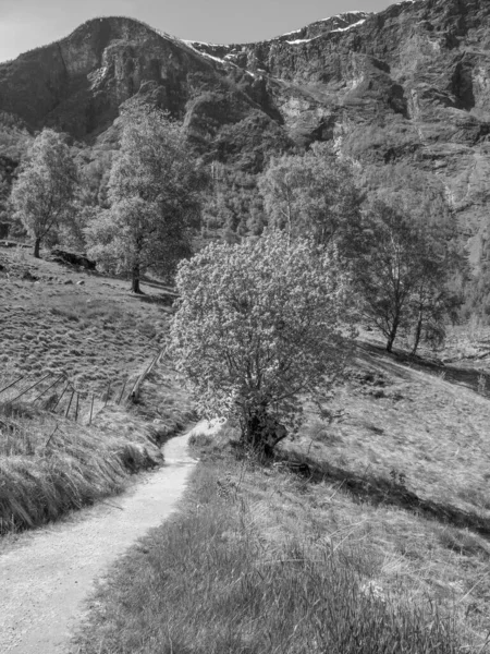 Fjord Hajóút Norvégiában — Stock Fotó