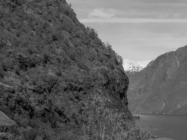 Fjord Rejs Norwegii — Zdjęcie stockowe