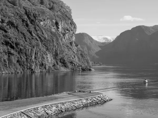 Fjord Cruise Noorwegen — Stockfoto