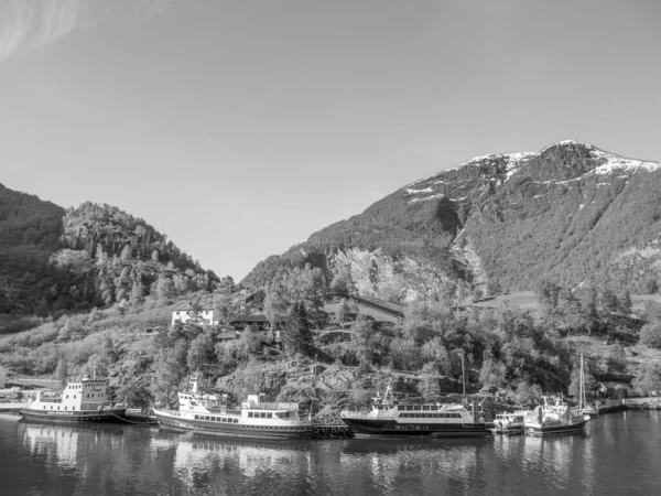 Fjord Cruise Noorwegen — Stockfoto