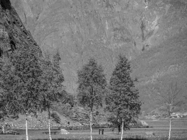 Flam Aurlandsfjord Norwegii — Zdjęcie stockowe