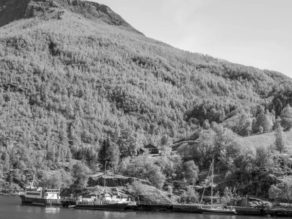 Flam Norveç Teki Aurlandsfjord — Stok fotoğraf