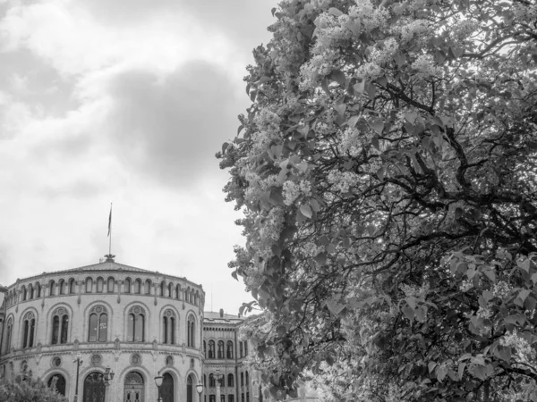 Oslo Capital City Norway — Stock Photo, Image