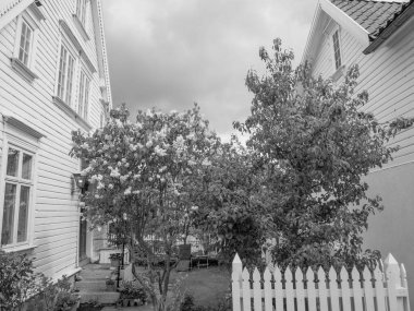 Norveç 'teki Stavanger şehri.