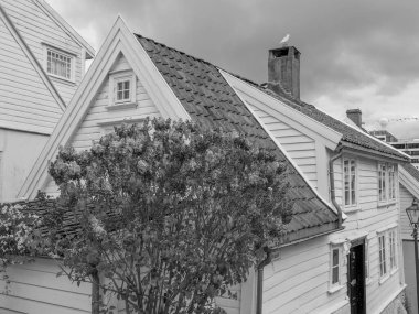 Norveç 'teki Stavanger şehri.