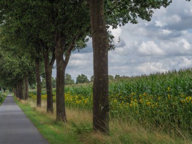 Westphalia 'da yaz zamanı