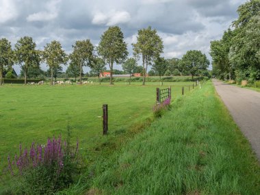 Westphalia 'da yaz zamanı