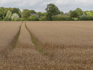 Westphalia 'da yaz zamanı