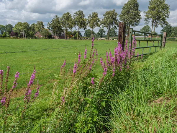 Sommerzeit Westfalen — Stockfoto