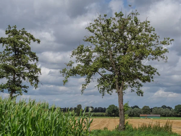 Sommerzeit Westfalen — Stockfoto