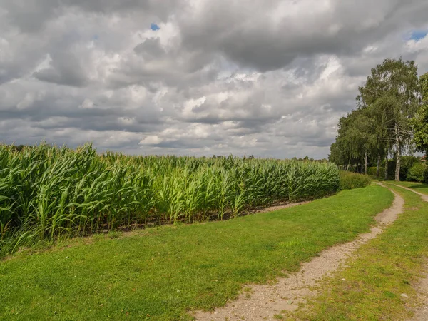 Sommerzeit Westfalen — Stockfoto