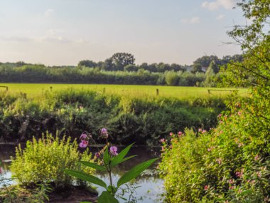 Westphalia 'da küçük bir nehirde.