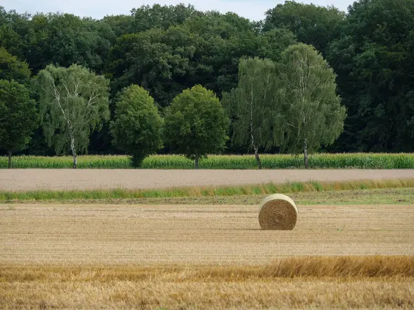 Sommartid Nederländerna — Stockfoto