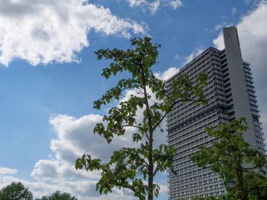 Bonn şehri Almanya 'da Ren nehrinin kenarında.