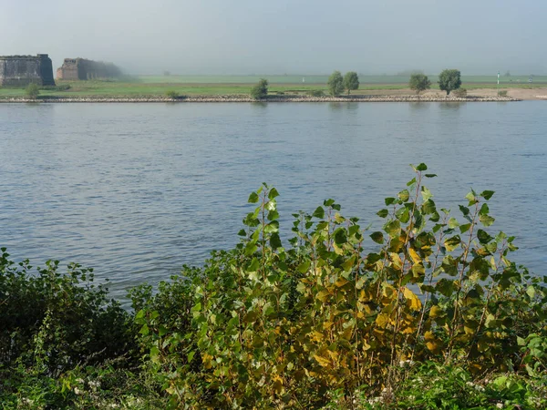 Almanya Daki Ren Nehri Nde Sabahın Erken Saatlerinde — Stok fotoğraf