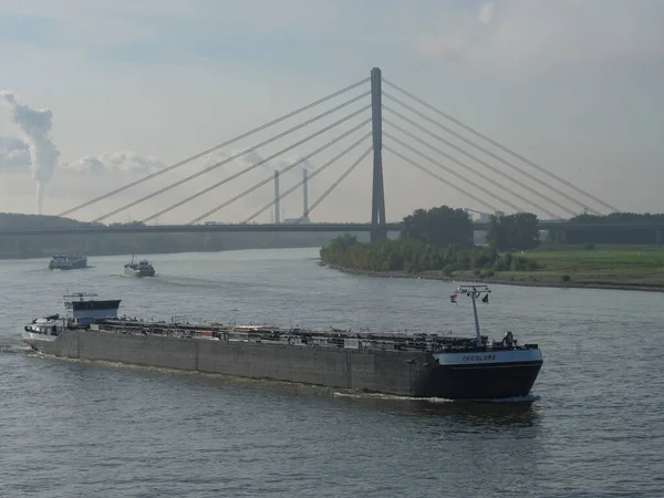 Tidig Morgon Tid Vid Floden Rhine Tyskland — Stockfoto