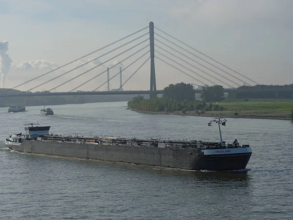 Tidig Morgon Tid Vid Floden Rhine Tyskland — Stockfoto