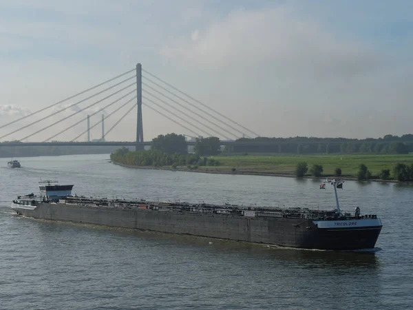 Tidig Morgon Tid Vid Floden Rhine Tyskland — Stockfoto