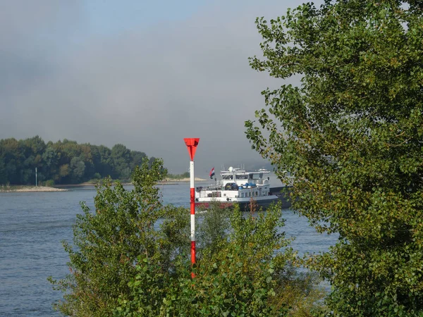 Wczesnym Rankiem Przy Rzece Rhine Niemczech — Zdjęcie stockowe