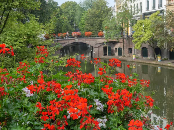 Última Hora Del Verano Ciudad Utrecht Los Países Bajos — Foto de Stock