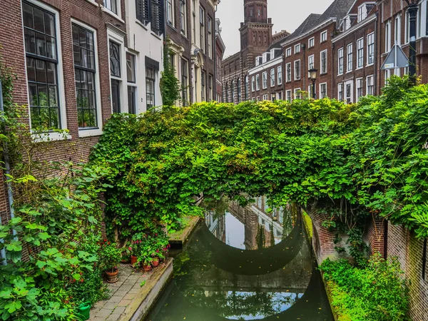 Laat Zomer Utrecht Nederlanden — Stockfoto