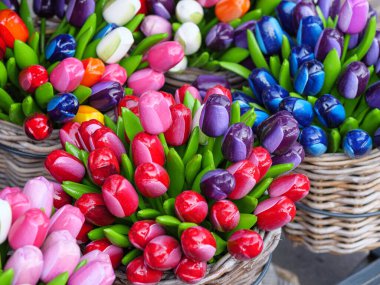 nehterland 'deki Utrecht şehri