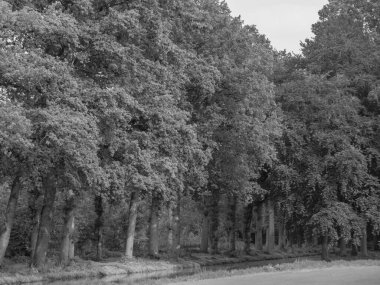 Hollanda 'daki Utrecht yakınlarındaki Haar Kalesi.