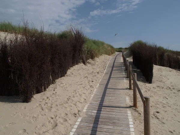 Langeoog. —  Fotos de Stock