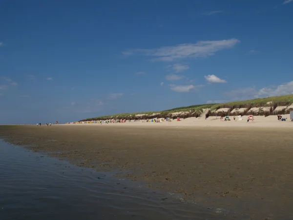 Ön langeoog — Stockfoto