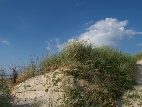 Petite île dans la mer du Nord allemande — Photo