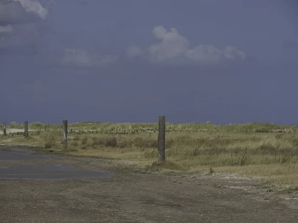 Spiekeroog — Stockfoto