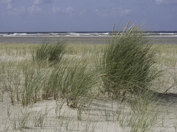 Spiekeroog island — Stockfoto