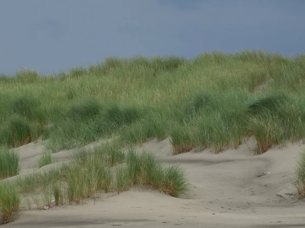 L'île de juist — Photo