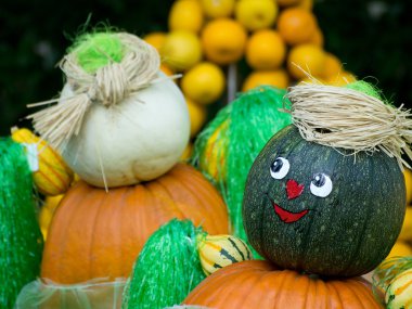 Kürbisse