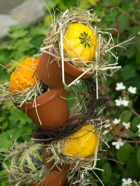 Pumpkins — Stock Photo, Image