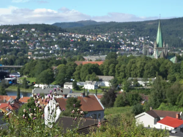 Trondheim. —  Fotos de Stock