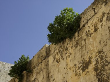 Malta Adası.