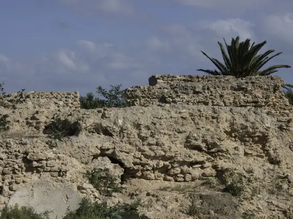 Tunis — Stock fotografie