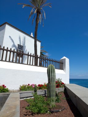 Teneriffe Adası 'ndaki Puerto de la Cruz.