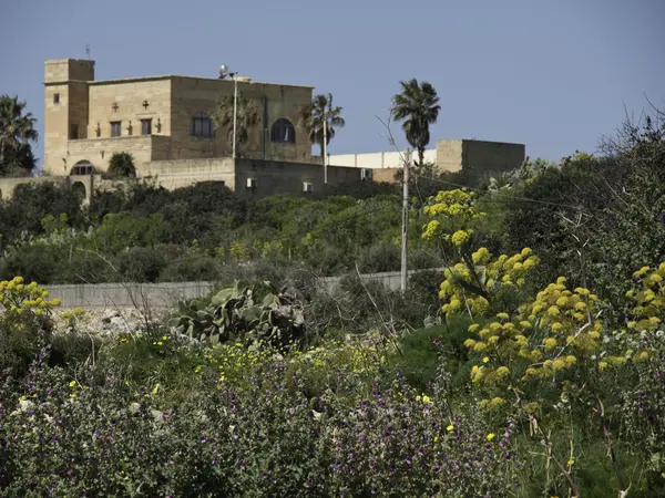 Island gozo — Stock Photo, Image